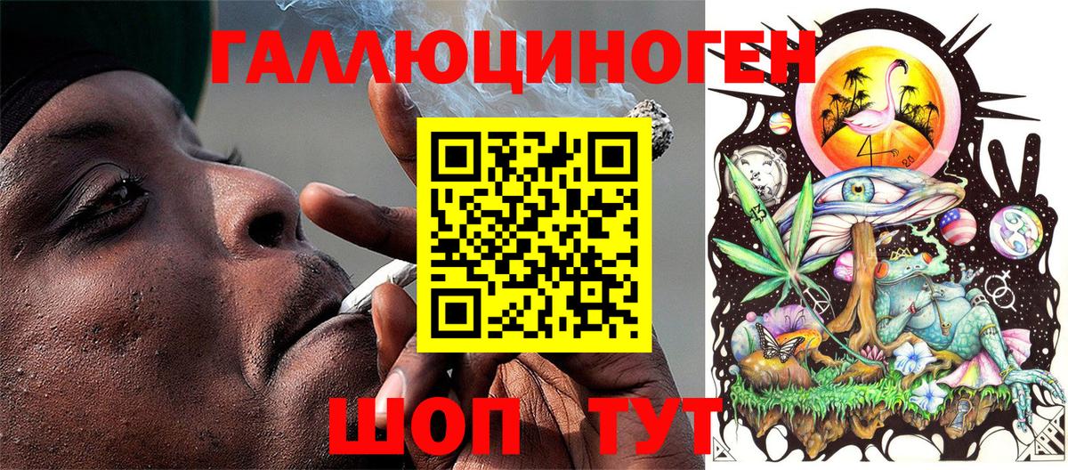 хочу   Вход с VPN  Каменка  Галлюциногенные грибы Psilocybe 